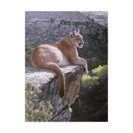 Ron Parker 'Cougar Country' Canvas Art,24x32